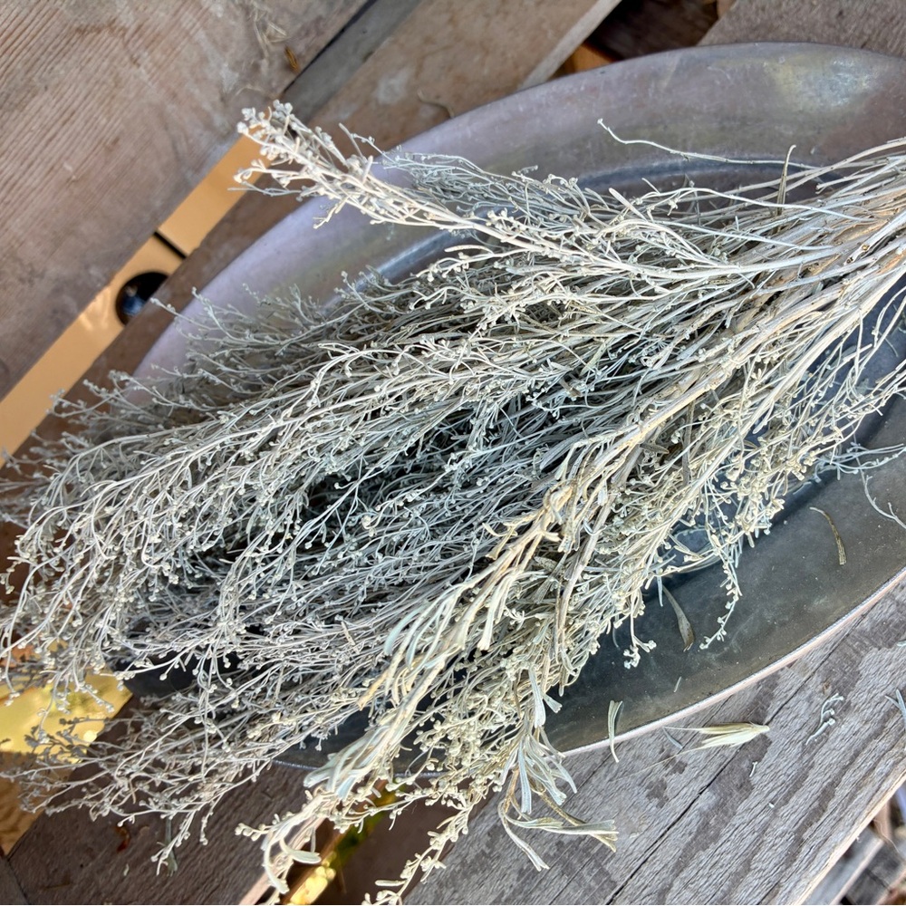 Dry Sage Bunch Foliage Wild Bouquet Big Sagebrush